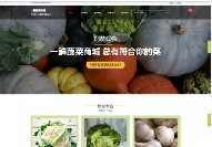 朝阳商城网站